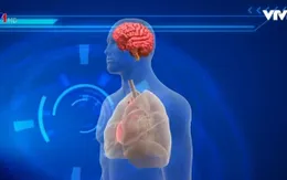 Người chết có thể… sống lại?