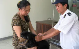 Phú Yên cảnh báo bệnh dại mùa nắng nóng