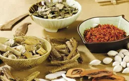 Vô sinh do nội tiết có thể chữa khỏi bằng Đông y
