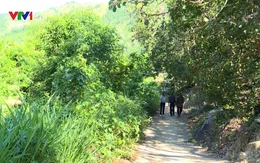 Đường bê tông “Cộng đồng” - Con đường dựa vào sức dân