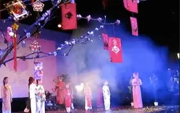 Cộng đồng người Việt tại Hungary đón Xuân Đinh Dậu