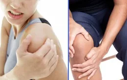 Lá lốt, ngải cứu - Thảo dược tuyệt vời trị bệnh khớp
