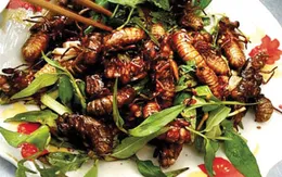 Những món ăn Việt ngon miệng nhưng tiềm ẩn nguy hiểm