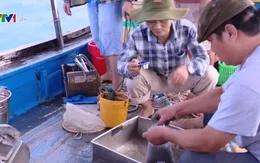 Đánh giá môi trường khu vực dự kiến nhận chìm chất nạo vét