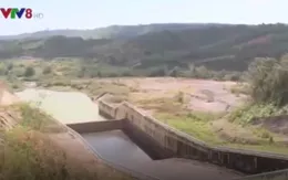 Đăk Nông: Hồ đập có nguy cơ thiếu nước tưới nghiêm trọng