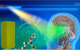 Ánh sáng đèn đêm có thể làm tăng nguy cơ mắc ung thư vú
