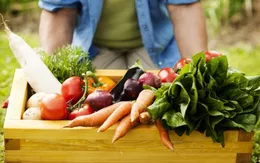 Những lưu ý về chế độ ăn uống trong ngày Tết
