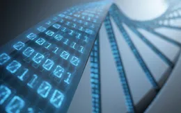 Tìm giải pháp lưu trữ thông tin vào ADN của con người