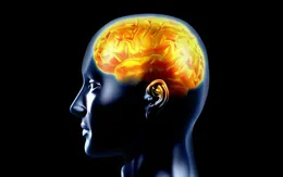 Lưu ý trong điều trị động kinh