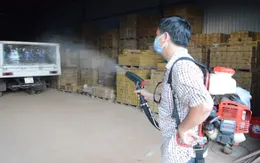 Đồng Nai công bố hết dịch bệnh do virus Zika cấp xã, phường