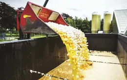 Ngừng bán trứng nhiễm hóa chất tại Hong Kong (Trung Quốc)