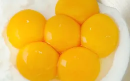 Vì sao chỉ ăn lòng đỏ trứng lại không tốt?