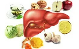 Bí quyết để gan khỏe không cần dùng thuốc
