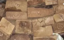 Kon Tum: Phát hiện 27 hộp gỗ xẻ vô chủ