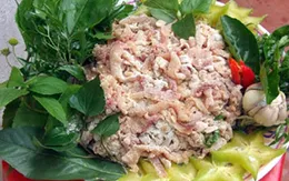 Những món gỏi khoái khẩu - “Thủ phạm” gây nhiều bệnh khó chẩn đoán
