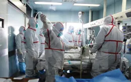 Trung Quốc phát hiện ca nhiễm virus H7N9 tại vùng giáp Việt Nam