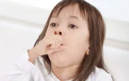 Có nên kiêng tôm, thịt gà khi bị ho?