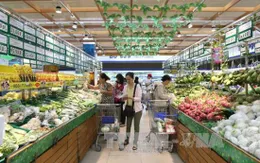 TP.HCM: 7 tháng đầu năm, tăng trưởng kinh tế 7,75%