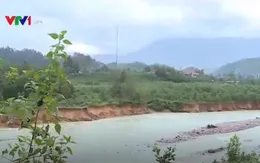 Người dân "đứng ngồi không yên" vì hàng trăm ha hoa màu nguy cơ hỏng