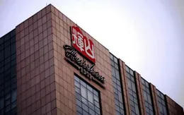 Hong Kong (Trung Quốc): Đình chỉ giao dịch chứng khoán tập đoàn Huishan Dairy Holdings