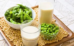 Lợi ích không ngờ của đậu nành với bệnh nhân ung thư vú
