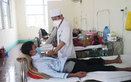Phát hiện ca lao siêu kháng thuốc đầu tiên ở Đồng Nai