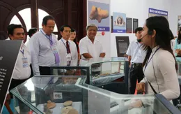 Trưng bày gần 1.000 hiện vật Gốm Óc Eo Nam Bộ
