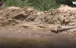 Vụ giả quyết định khai thác cát tại Quảng Nam: Chuyển hồ sơ sang cơ quan điều tra