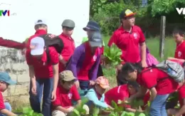 Về quê học kỹ năng sống