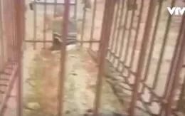 Bia mộ không tên của phụ nữ Afghanistan