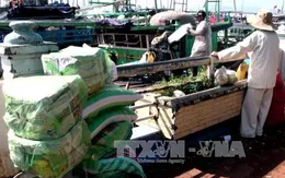 Phú Yên nạo vét khẩn cấp lạch Đông Tác