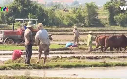 Đầu tư thủy lợi ở vùng đồng bào Chăm