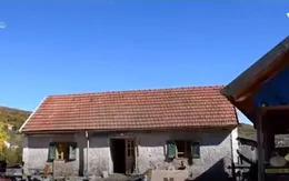 Ngôi làng tại Croatia cung cấp chỗ ở cho gấu bị bỏ rơi