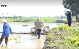 Xu hướng trở về quê lập nghiệp