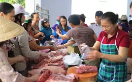 Trên 30 tấn thịt lợn của huyện Can Lộc (Hà Tĩnh) đã được thu mua