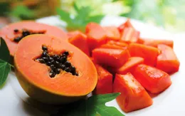 Công dụng chữa bệnh thần kỳ từ rễ tới hạt của cây đu đủ