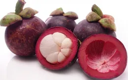 Quả măng cụt giúp ngăn ngừa sỏi thận