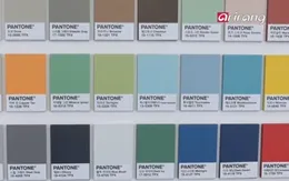 Sức mạnh của màu sắc trong lĩnh vực marketing tại Hàn Quốc