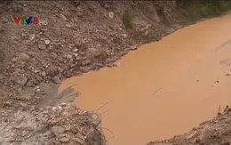 Quảng Nam yêu cầu đóng cửa mỏ vàng Bồng Miêu
