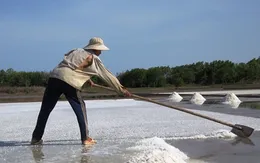 Lượng muối tồn đọng giảm nhanh