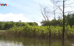 TT-Huế: Hàng trăm hộ dân miền núi mất đất sản xuất do ngập úng