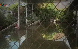 Cần Thơ: Chính quyền vào cuộc xử lý vụ nhà dân bị ngập trong nhiều tháng qua