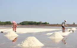 Diêm dân thiệt hại nặng vì mưa