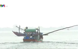 Bất chấp lệnh cấm, ngư dân vẫn ra khơi đánh bắt
