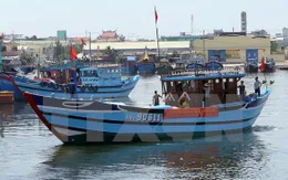 Hàng nghìn ngư dân miền Trung đón Tết trên biển
