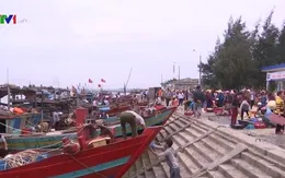 Ngư dân miền Trung yên tâm bám biển vươn khơi