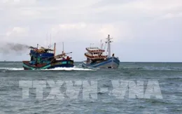 Giám sát chặt việc nhấn chìm bùn thải ở Bình Thuận