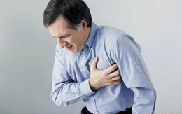 Vị thuốc Ngưu Hoàng và những điều cần lưu ý