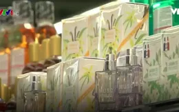 Tác hại của chất gây rối loạn nội tiết
