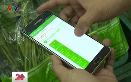 TP.HCM sẽ triển khai truy xuất nguồn gốc rau sạch